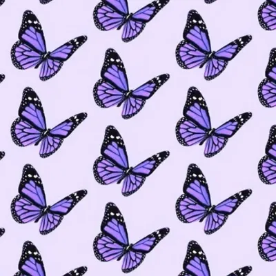 Бабочки на торт картинки для печати - 70 фото