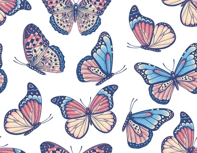 Красочные Бабочки На Белом Фоне — стоковая векторная графика и другие  изображения на тему Без людей - Без людей, Белый, Векторная графика - iStock