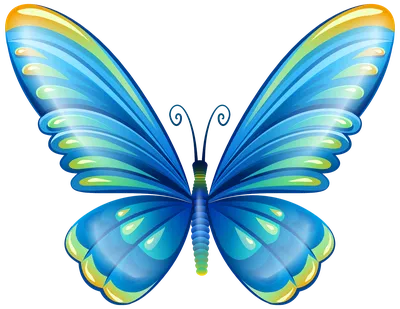 Три голубых бабочки морфо с разных ракурсов, изолированы на белом фоне  Stock Photo | Adobe Stock