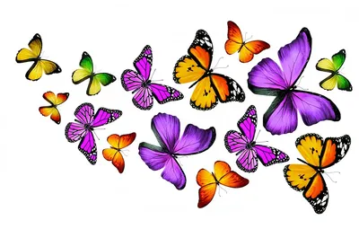 синие бабочки на белом фоне Стоковое Фото - изображение насчитывающей  свободно, сновидение: 215750838