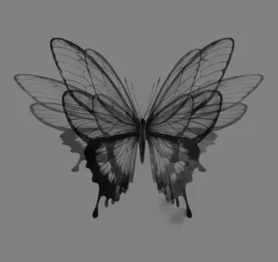 Красочные Декоративные Бабочки Черном Фоне Стоковая иллюстрация ©Wirestock  #497410406