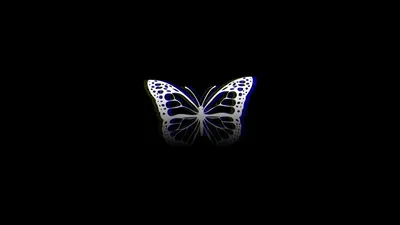 Разноцветные бабочки на черном фоне. Изолированные бабочки. Шаблон,  заготовка, яркий, разноцветный. Объемный фон Stock Illustration | Adobe  Stock