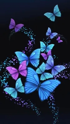 Бабочки на черном фоне - 57 фото