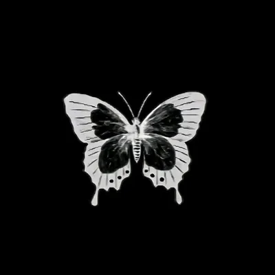 Бабочка цвета изолированной на черном фоне Иллюстрация штока - иллюстрации  насчитывающей краска, отрезок: 189993621
