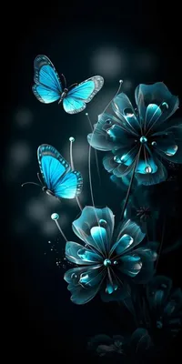 Рисунок эстетичной бабочки - 69 фото