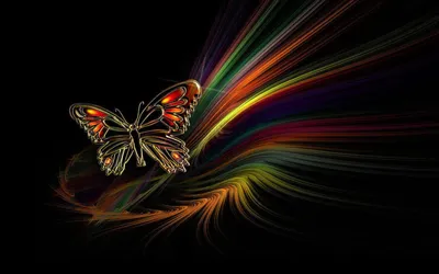 Бабочки на черном фоне - 77 фото