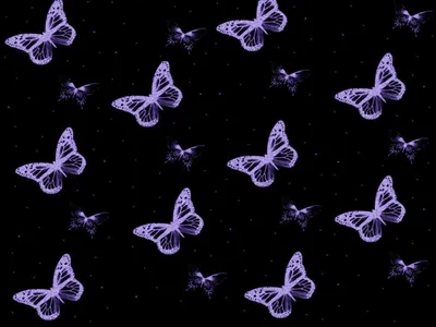 бабочки различных размеров на черном фоне. бесшовный узор с бабочкой.  Иллюстрация штока - иллюстрации насчитывающей цветасто, тварь: 217204861