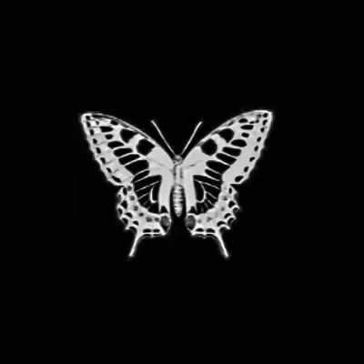 значок бабочки, изолированный на черном фоне Иллюстрация штока -  иллюстрации насчитывающей эскиз, бабочка: 262931465