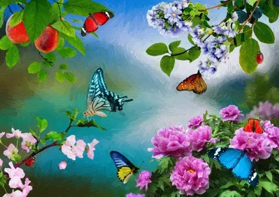 бабочки и цветы в саду стоковое изображение. изображение насчитывающей  бабочка - 216471767