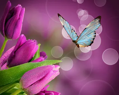 Трафарет Цветочки бабочки купить для Стен — Шаблоны и Картинки в магазине