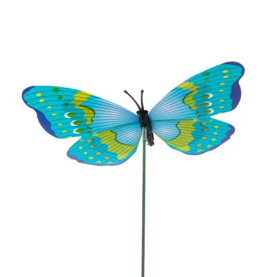 Картинка Синие бабочки на желтых цветах » Бабочки » Насекомые » Животные »  Картинки 24 - скачать картинки бесплатно