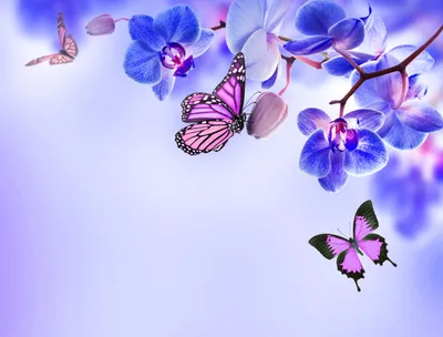 Скачать обои бабочки, цветы, яркие, нейросеть, раздел ии арт в разрешении  1280x800
