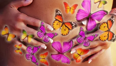Бабочки в животе красивые картинки - 77 фото