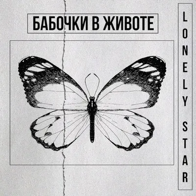Бабочки в животе (Камрин Сенджу) / Стихи.ру