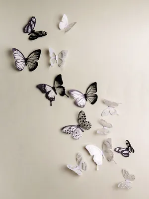 Обои на айфон бабочки - 70 фото