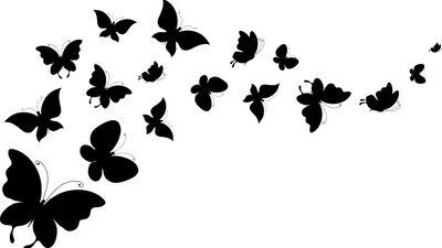 Скачать 1350x2400 бабочки, крылья, узор, тропический обои, картинки iphone  8+/7+/6s+/6+ for parallax