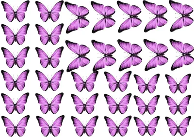 3D бабочки для декора 12 шт, ажурные наклейки - бабочки на стену, бабочки  для штор. Хром 2. (ID#889749243), цена: 70 ₴, купить на Prom.ua