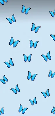 на белом фоне синие бабочки Stock Photo | Adobe Stock