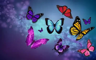 Красивые обои бабочки иллюстрация вектора. иллюстрации насчитывающей  реально - 214661465