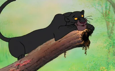 Раскраска Пантера Багира | Раскраски из мультфильма Маугли