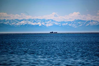 Нефть на дне Байкала: что ждет озеро при добыче углеводородов