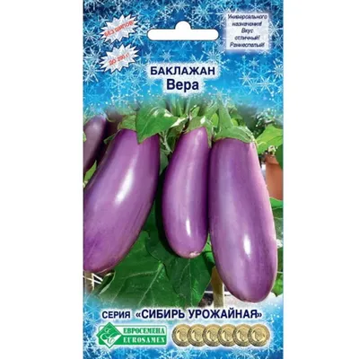 КАРАМАН F1 / KARAMAN F1 — Баклажан, LibraSeeds (Erste Zaden) купить в  Украине - цена, фото, отзывы | Agrolife