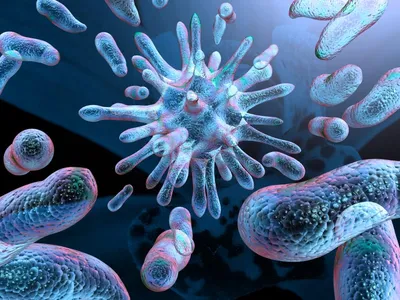 Влияние бактерий и их источники | Iceoom