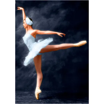 Картина Балерина ᐉ Дешевая Дарья ᐉ онлайн-галерея Molbert.