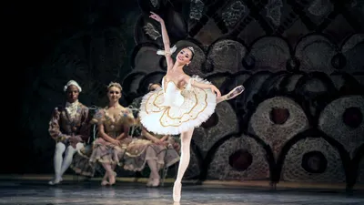 Классический Национальный Русский балет. Балет \"Щелкунчик\" в Хабаровске 17  декабря 2023 в Городской Дворец Культуры