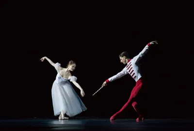 Подмосковный театр «Русский балет» отправится на новогодние гастроли с  «Щелкунчиком» - В регионе - РИАМО в Реутове