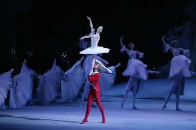 Классический Национальный Русский балет. Балет \"Щелкунчик\" в Хабаровске 18  декабря 2022 в Городской Дворец Культуры