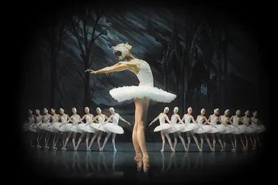 ETVNET - Угадайте балет по либретто