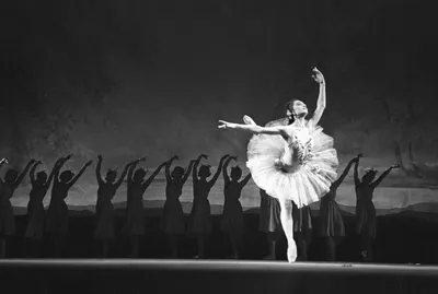 Русский императорский балет — искусство, пережившее большевистскую  революцию (ABC.es, Испания) | 07.10.2022, ИноСМИ