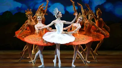 Балерина из Южной Кореи рассказала о важности русского балета - РИА  Новости, 04.04.2023