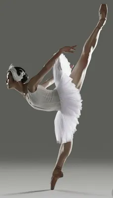 17 фото, которые доказывают что балет – это не для слабаков | Фотографии  танцев, Танец балет, Балет