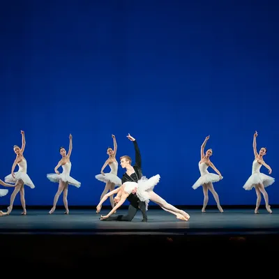 Андрей Шаврей: балет «Дракула» в Опере — укусите и забудьтесь! / Статья