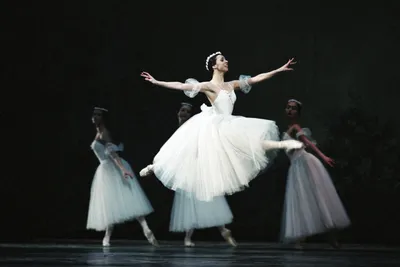 Балет или семья. Истории из жизни балетных | Блог жизненных историй WellWel  | Дзен