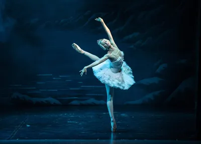 Лексика в балете 2023, Санкт-Петербург — дата и место проведения, программа  мероприятия.