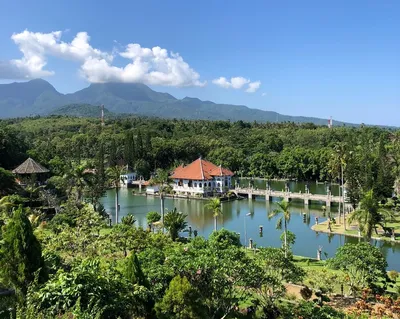 Белорус переехал на Бали и теперь строит там отель. Вот его история —  последние Новости на Realt