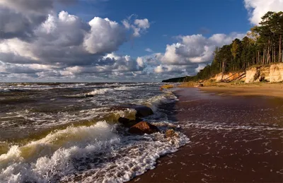 Балтийское море — отдых для «моржей». Развенчиваю главный миф про  Калининградскую область | Тимур Угулава | Путешествия с душой | Дзен