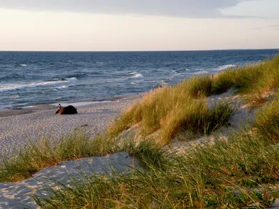 Можно ли купаться в Балтийском море в России, как провести здесь отдых и на  каких курортах бронировать отели — Яндекс Путешествия