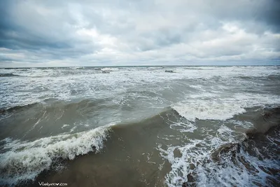 Красивое Балтийское море (55 фото) - 55 фото