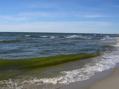 Спокойное Балтийское море в Янтарном - Янтарный городской округ
