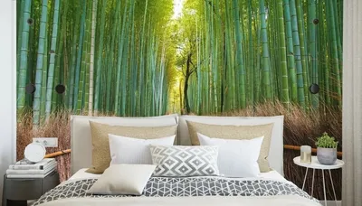 Живой бамбук в интерьере - 68 фото