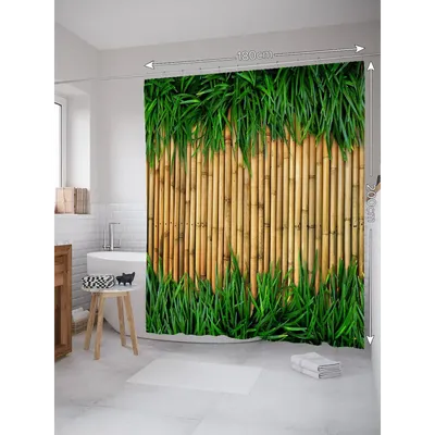 Комнатное растение бамбук (48 фото): уход и размножение - HappyModern.RU
