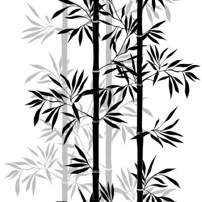 Повезло Бамбука На Белом — стоковые фотографии и другие картинки Бамбук -  Бамбук, Белый фон, Зелёный цвет - iStock