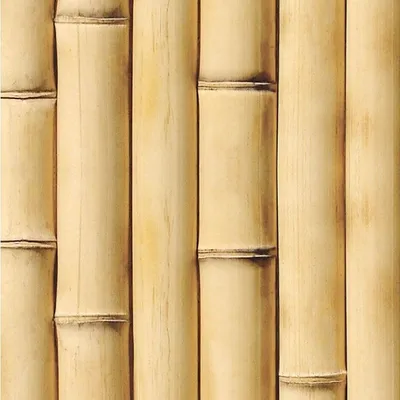 Фотообои бамбук на стену: каталог, фото, цены | ТМ \"Шпалерня\"