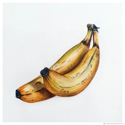 Диетолог рекомендовала есть бананы при склонности к отекам – Москва 24,  12.01.2024