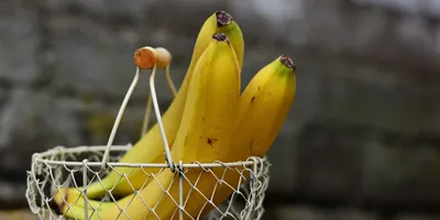 Польза бананов: чем бананы помогают организму | Роскачество
