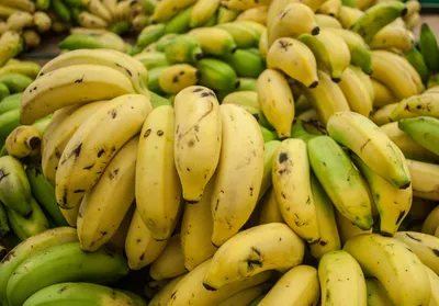 8 полезных свойств банана или почему он поднимает настроение | Протокол:  проект для врача | Дзен